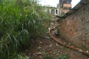 Capelinha de São Caetano: moradores reclamam de matagal