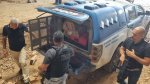 Mais de 40 quilos de drogas são incineradas no extremo sul da Bahia