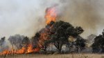 Incêndios deixam mais de 120 mortos no Chile