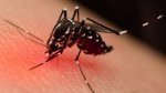 Sesab confirma 23ª morte por dengue no estado