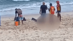 Corpo de mergulhador é encontrado no Porto da Barra