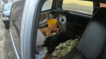 Cachorros são resgatados após 2 dias presos em carro