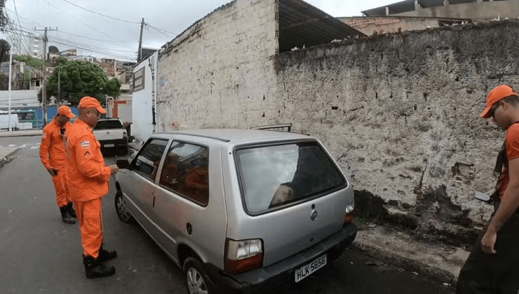 Sem titulo2
