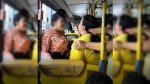 Vídeo: confusão entre mulheres por assento preferencial em ônibus de Salvador