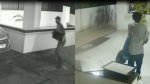 Vídeo: bandido escala e invade apartamento em condomínio na Vila Laura