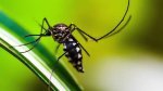 45 mortes por dengue na Bahia