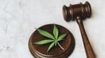 STF retoma julgamento sobre descriminalização de maconha