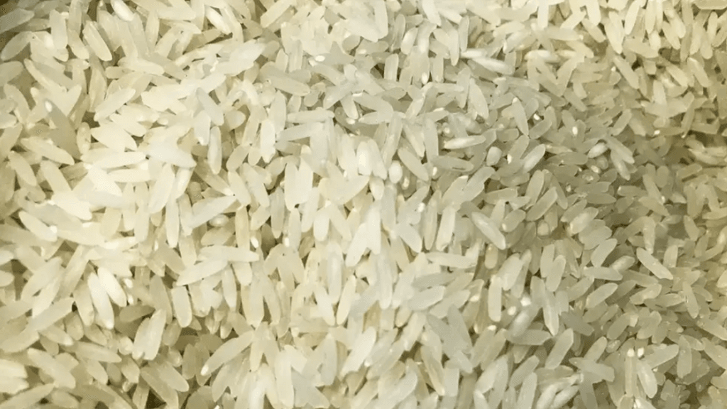 arroz