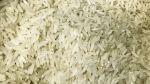 Governo anula leilão e cancela compra de arroz importado