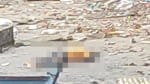 Homem é assassinado no Porto das Sardinhas