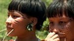Câmara aprova MP que destina R$ 1 bi para proteção do povo yanomami
