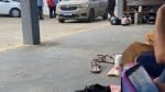 Homem esfaqueia colegas de trabalho em fábrica na Bahia