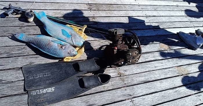 pesca predatoria3