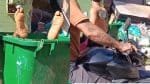 Corpo é encontrado dentro de lixeira em Pernambués