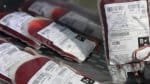 STF reconhece direito de Testemunhas de Jeová recusarem transfusão de sangue