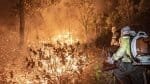 Brasil teve 11,39 milhões de hectares atingidos pelo fogo este ano