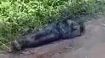 Corpo carbonizado é encontrado em Campinas de Pirajá