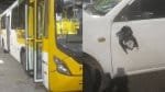 Ex-rodoviário rouba ônibus e sai batendo em carros em Salvador