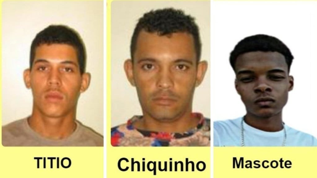 IMAGEM NOTICIA 0