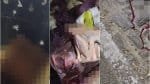 Ataque mata três em situação de rua no Centro de Salvador