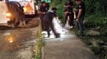 Motorista de ônibus é morto após o expediente em Simões Filho