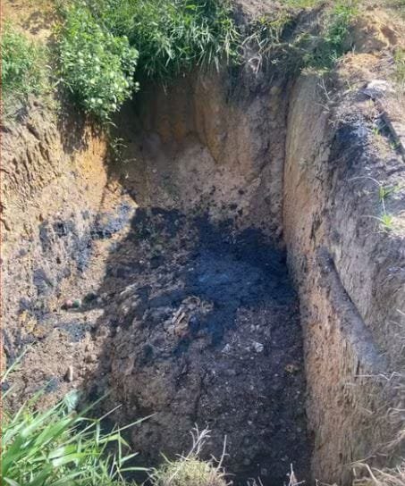 embasa crime ambiental