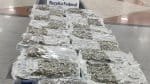 ‘Supermaconha’ é apreendida no Aeroporto de salvador