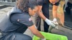 Dois presos durante operação em feiras de Salvador