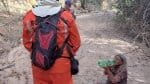 Idosa desaparecida há 3 dias é resgatada em mata fechada