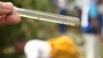 Casos de dengue, chikungunya e zika caem mais de 80% na Bahia