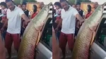 Pescadores capturam pirarucu de 92 kg em lagoa na Bahia