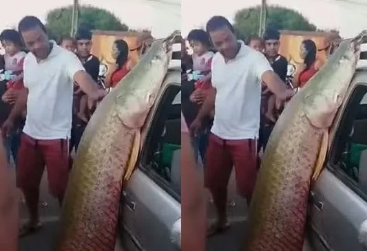 Peixe gigante com 92kg e mais de dois metros e cap0132899900202505270808 ScaleDownProportional