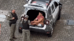 Homem que deu 60 socos na namorada vai responder por tentativa de feminicídio; imagens chocam