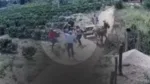 Homem é morto a pauladas em disputa por herança na Bahia