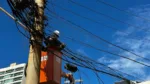 ‘Gatonet’ remove mais de 4 toneladas de fios irregulares na Bahia