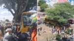 Ônibus escolar bate em árvore e deixa dez feridos na Bahia