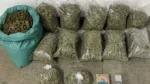 PM apreende 34 kg de maconha em Feira de Santana
