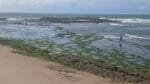 Buscas continuam por jovem desaparecido na praia de Amaralina