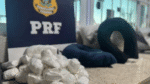 PRF apreende droga escondida em travesseiros e almofadas na Bahia