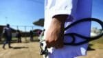 Estudantes baianos poderão cursar medicina de graça em Cuba