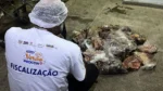 Procon-BA descarta mais de 140 kg de carne estragada em Praia do Forte