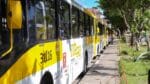 Sete linhas de ônibus mudam de concessionária em Salvador a partir de domingo (1º)