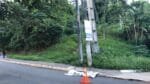 Homem eletrocutado próximo ao HGE escalou bambu para furtar fios