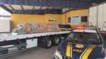 PRF apreende quase 2 toneladas de maconha em caminhão na Bahia