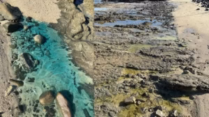 São Tomé de Paripe segue com contaminação e pescadores sem poder trabalhar