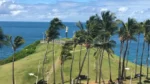 Restos mortais são localizados próximo ao Morro do Cristo, na Barra