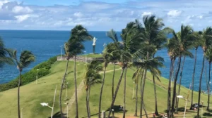 Restos mortais são localizados próximo ao Morro do Cristo, na Barra