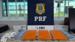 PRF apreende drogas e mais de 700 canetas emagrecedoras em ônibus na BA