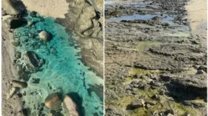 Prefeitura decreta situação de emergência em São Tomé de Paripe após contaminação ambiental