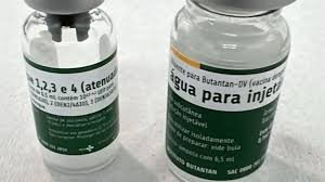 Vacina da dengue do Butantan tem aplicação suspensa em todo o país